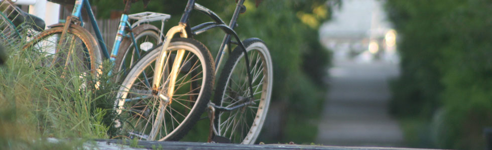 Scenes from Fire Island: Bicycles