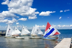 Sunfish from the Dunewood Sailing Program